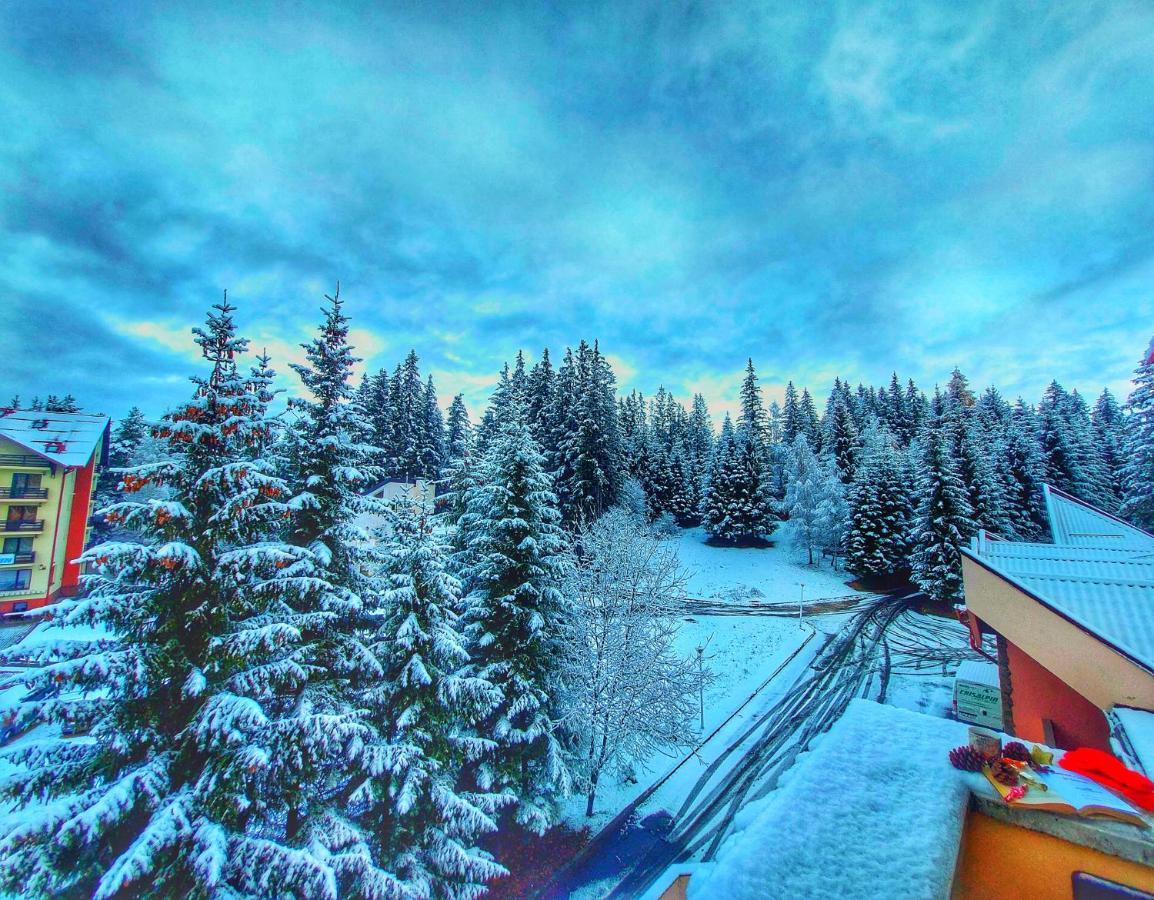 Vila Simonte Poiana Brasov Hotel Buitenkant foto