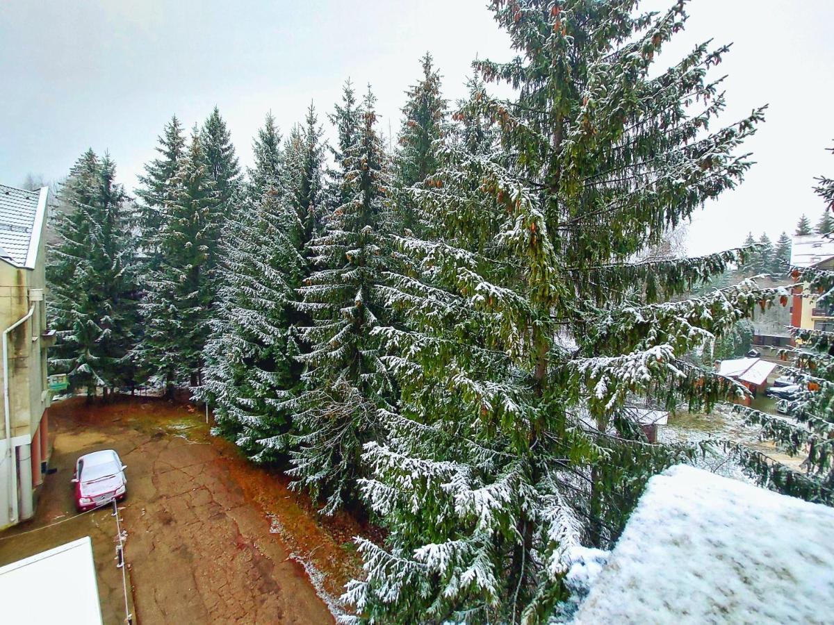Vila Simonte Poiana Brasov Hotel Buitenkant foto