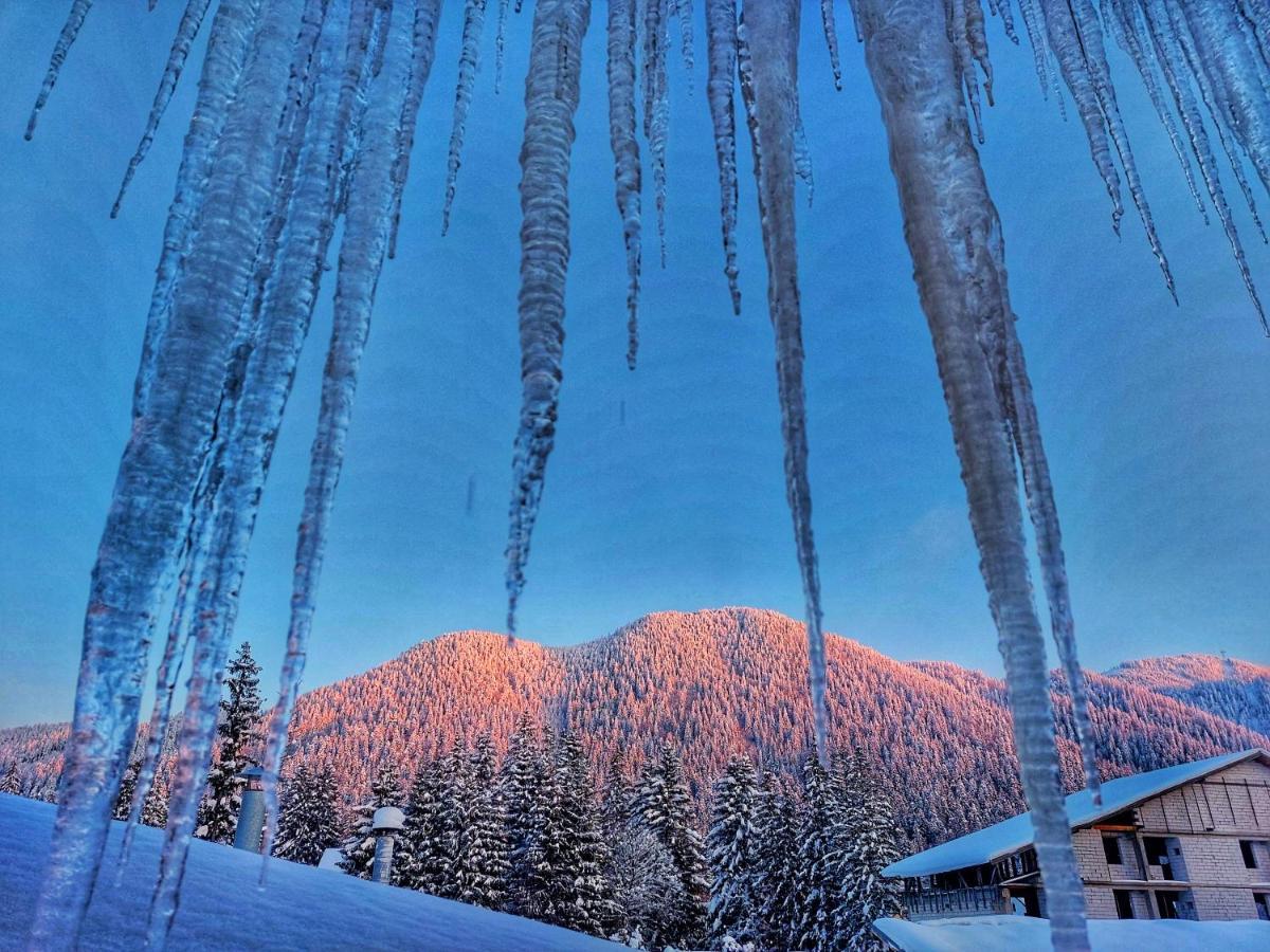 Vila Simonte Poiana Brasov Hotel Buitenkant foto