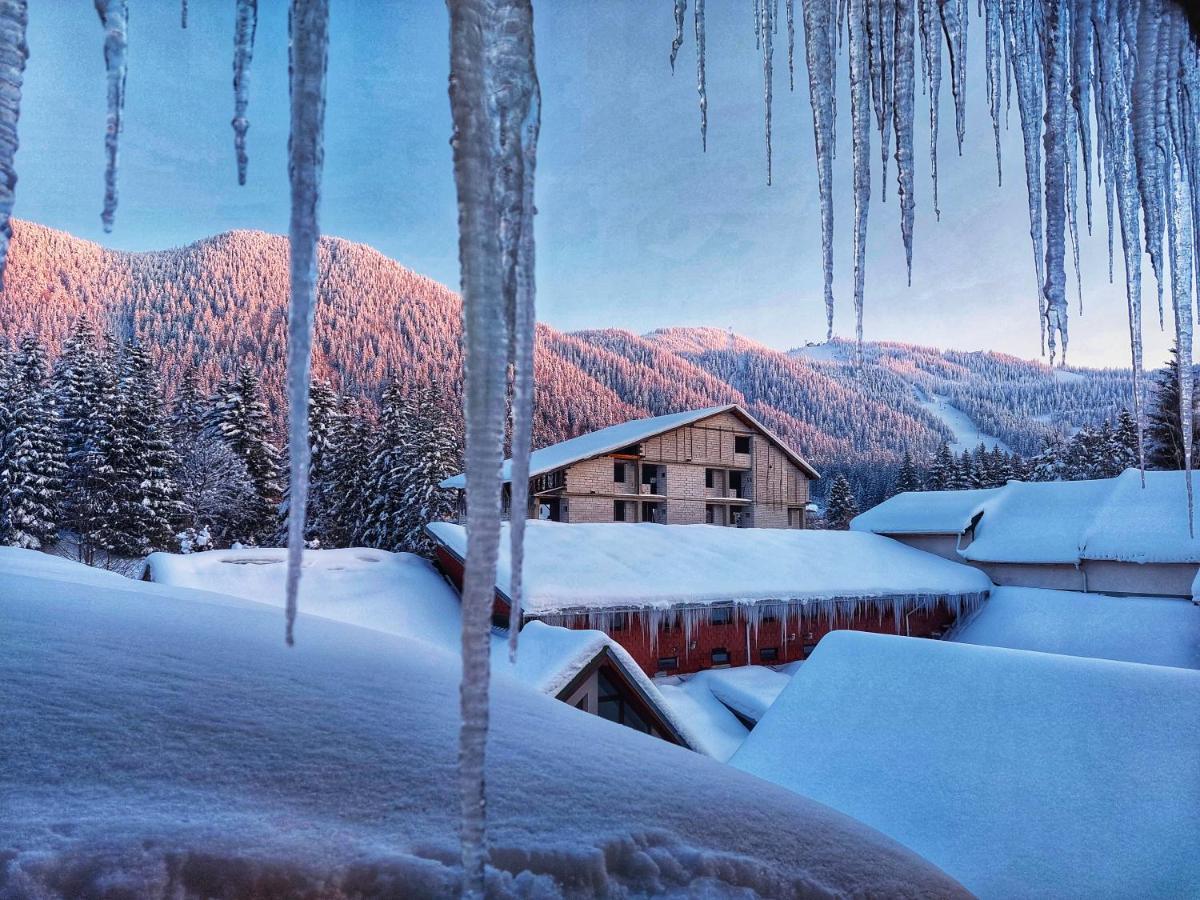 Vila Simonte Poiana Brasov Hotel Buitenkant foto